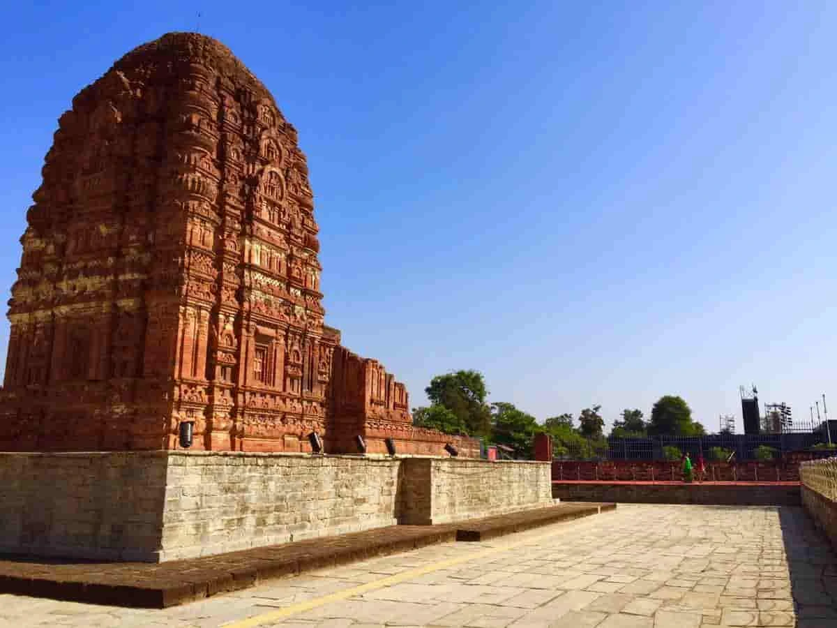 Chhattisgarh Government Jobs