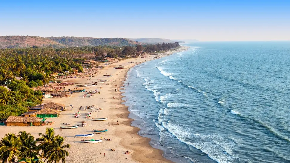 Goa Government Jobs