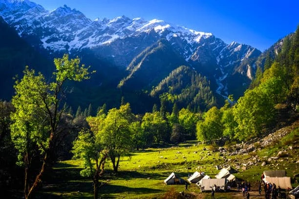 Himachal Pradesh Government Jobs